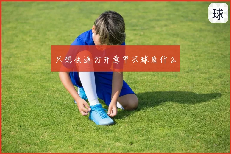 只想快速打开意甲买球看什么